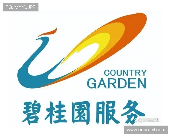 全面解析博狗集团：行业地位与发展前景分析